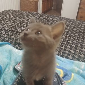 Meet your Posher, Kendra